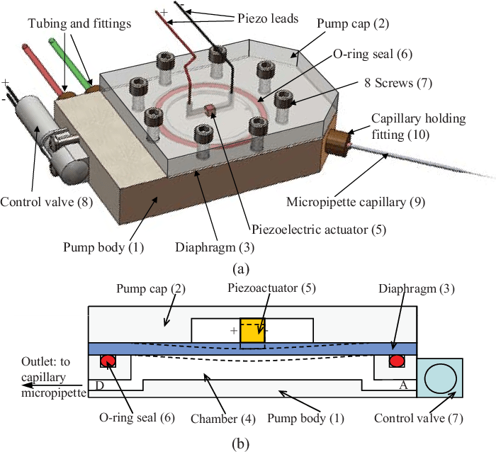 Seymour Duncan Stratocaster Wiring Diagram