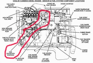 12 Valve Cummins Fuel System Diagram General Wiring Diagram