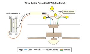 Ceiling Fan Four Wire Connection Diagram coginspire