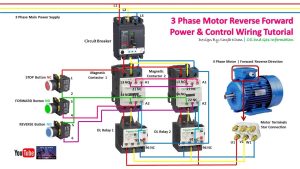 Forward and reverse motor control circuit webdesigngawer