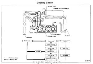 Sr20Det Starter Wiring Diagram Professional Ka24E Engine Diagram