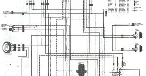 © ⭐⭐⭐⭐⭐ 1987 Honda Trx 250X Wiring Diagram Wiring Diagram Thaimeterd