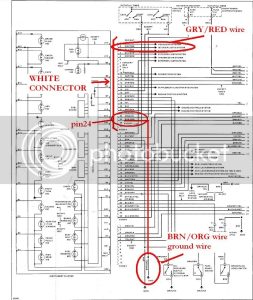 Bmw E36 Central Locking Wiring Diagram