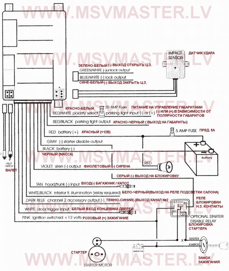 Avital Wiring Diagram