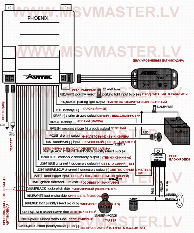 Directed Electronics 3100 Wiring Diagram