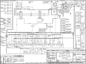 Thermo King Wiring Diagram First Wiring