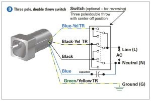 how to wire a reverse polarity switch Wiring Digital and Schematic