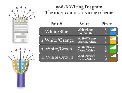 Cat 6 Socket Wiring Diagram