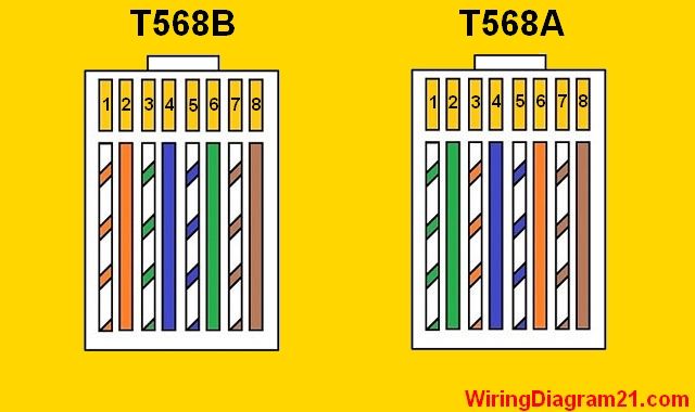 Cat 6 Wiring Diagram Rj45