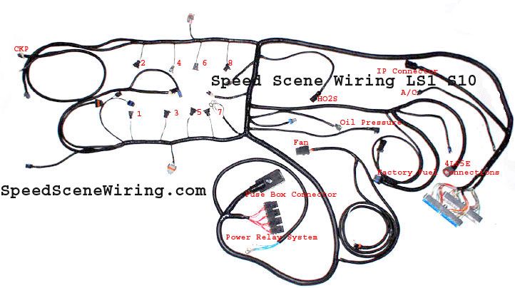 Ls1 Alternator Wiring Diagram