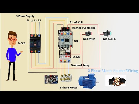 Code 3 Siren Box Model 3892l6 Wiring Diagram